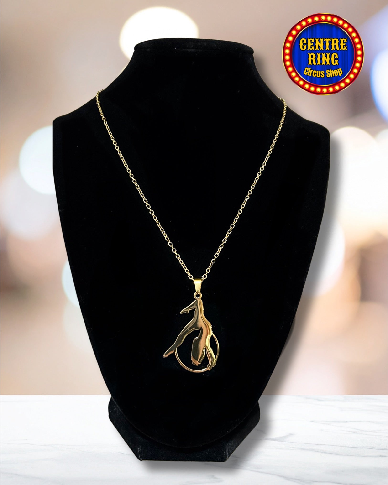 Aerial Hoop Necklace #1